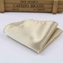 Boys Champagne Satin Pocket Square Handkerchief